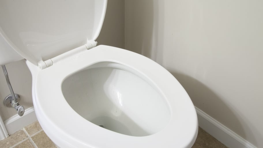 brand new toilet